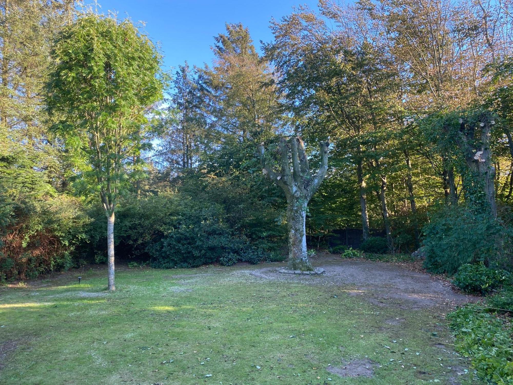 Large Room With Balcony At The Edge Of The Forest Løkken Exterior foto